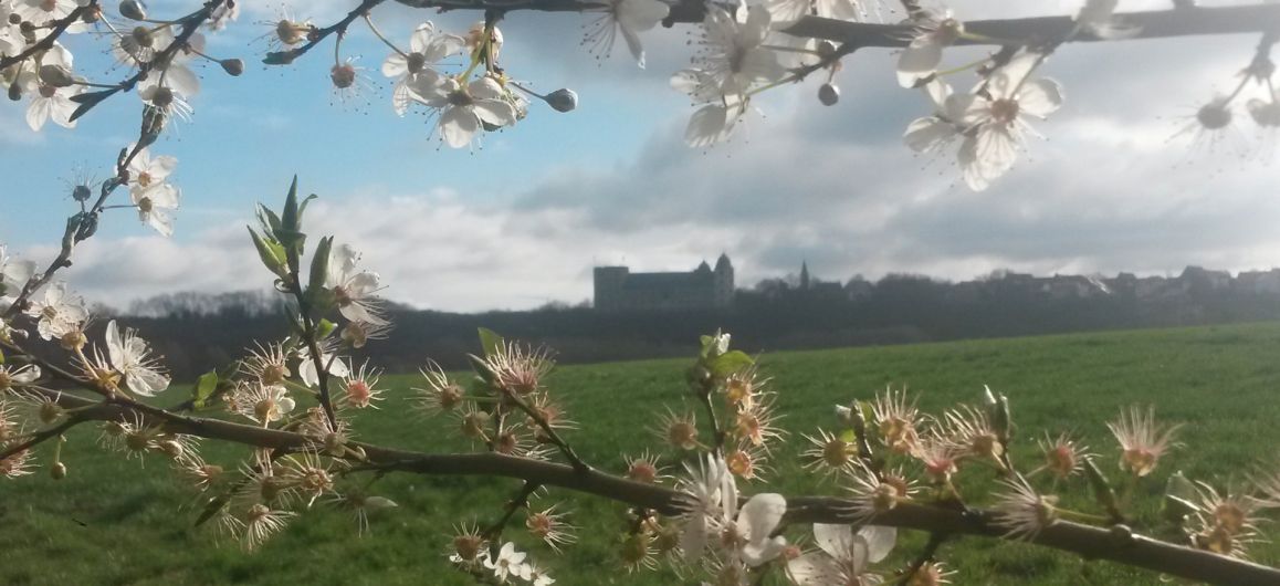 Die Wewelsburg im März 2023 von Dieter Rubarth.